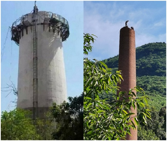 高空拆除公司的注意細節及相關要點須知